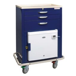 Hyperthermia Carts